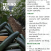 PEPINO XL