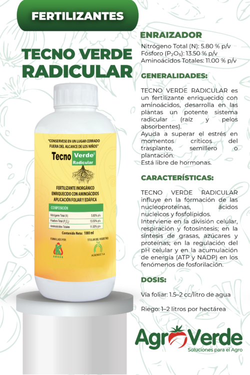 TECNO VERDE RADICULAR