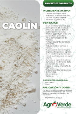 CAOLÍN
